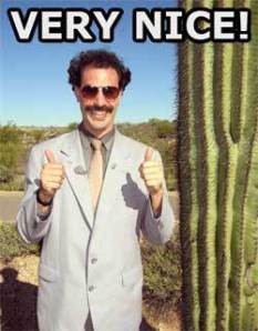 very-nice.jpg%3Fw%3D233%26h%3D300