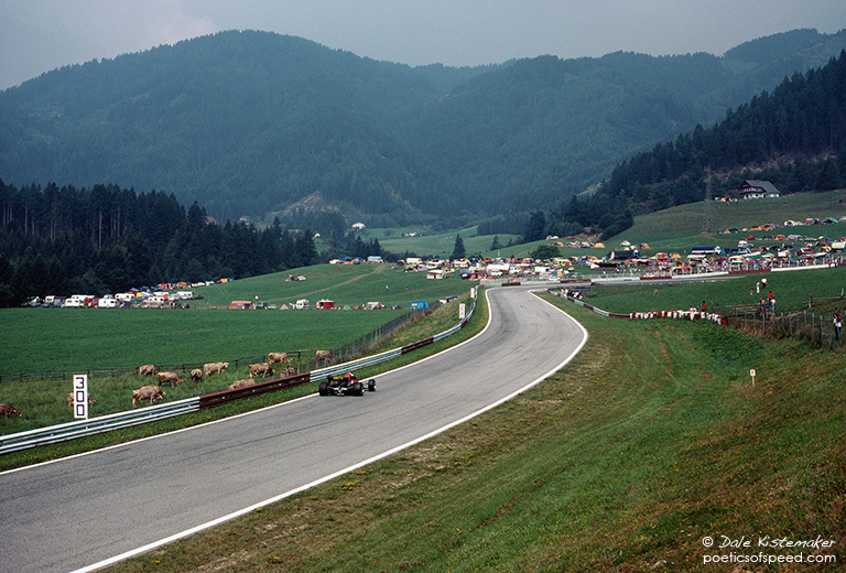 racecarscows2-austria-83sign.jpg