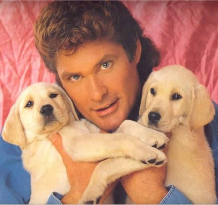 hasselhoff_with_puppies.jpg