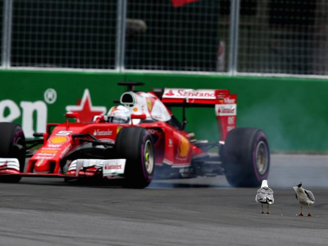 53561c9c172d732222f311c163572e97